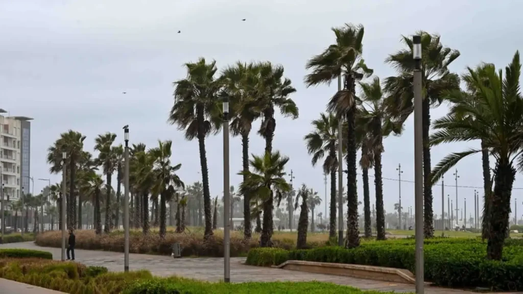 مديرية الأرصاد تحذر من طقس متقلب وبارد يسبق استقرار الأجواء نهاية الأسبوع